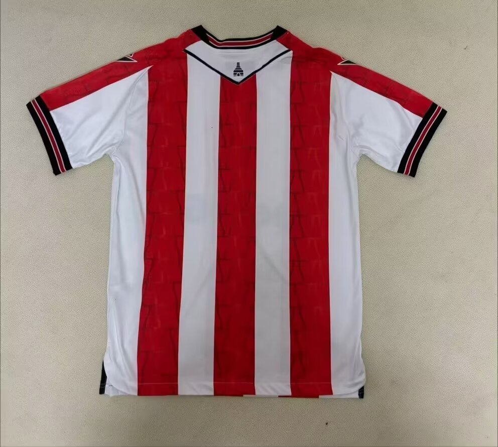 Camisola Stoke City 24/25 Principal Versão Adepto